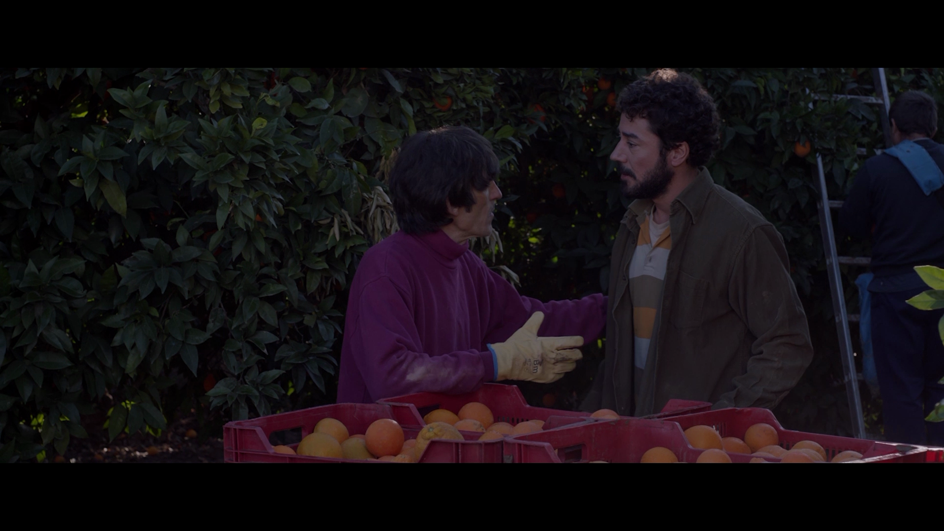 vlcsnap-2023-12-08-16h03m20s682